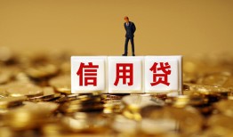 东莞1哪有个人借贷-东莞1小额贷款公司-东莞1私借空放免费上门