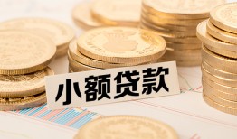 东莞1身份证贷款平台-东莞1私人借贷不查征信-东莞1空放借钱