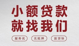 东莞1民间贷款-东莞1小额贷款不查征信-东莞1贷款信用贷款